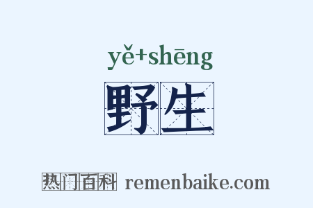 野生是什么意思的图片